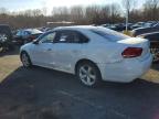 2014 Volkswagen Passat S for Sale in East Granby, CT - Rear End