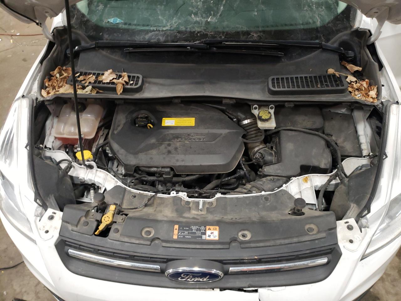 2016 Ford Escape - Image 12