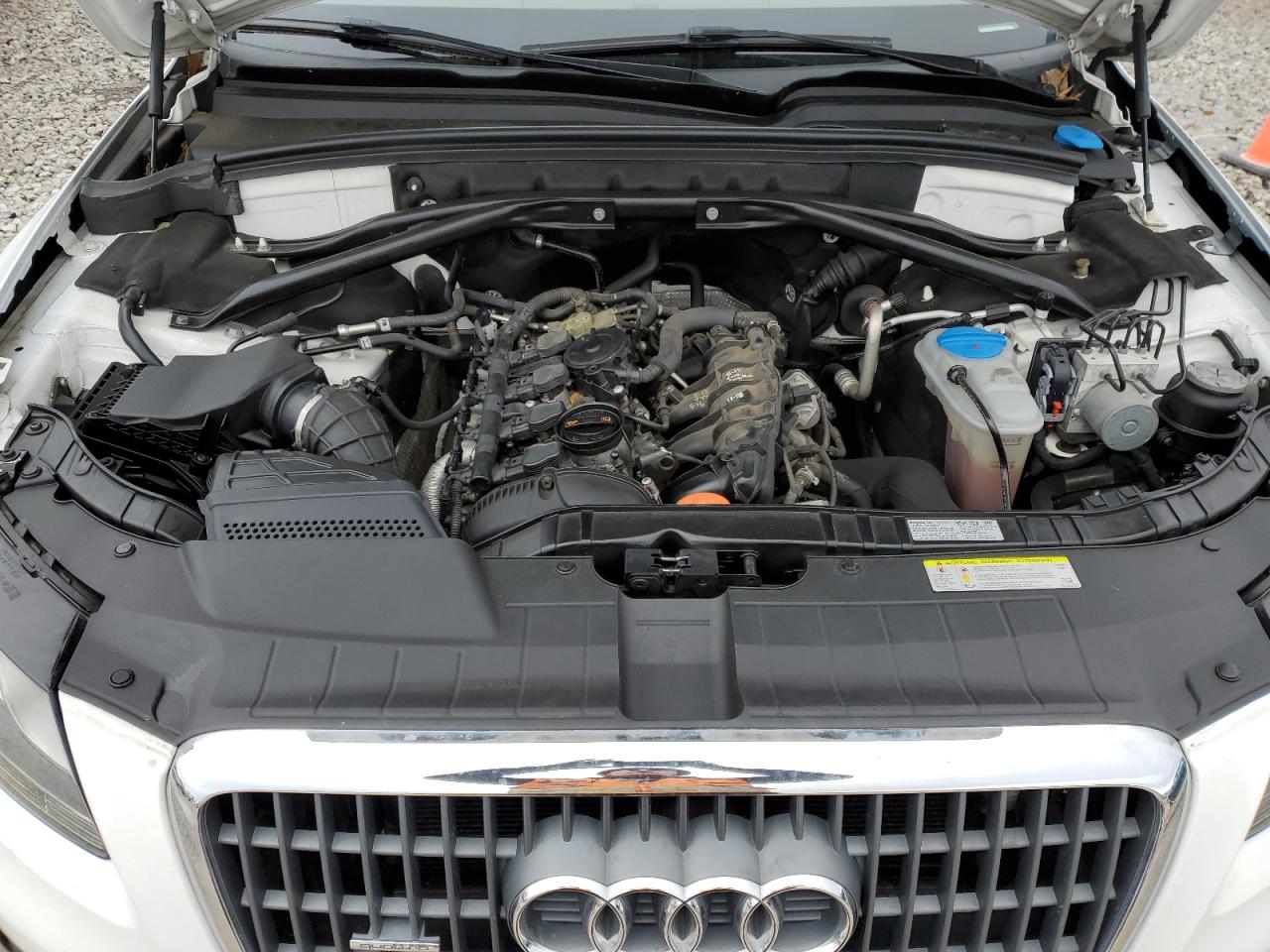 2011 Audi Q5 Premium VIN: WA1CFAFP4BA012570 Lot: 86354864