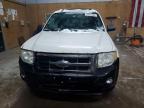 2010 Ford Escape Xlt за продажба в Kincheloe, MI - Front End