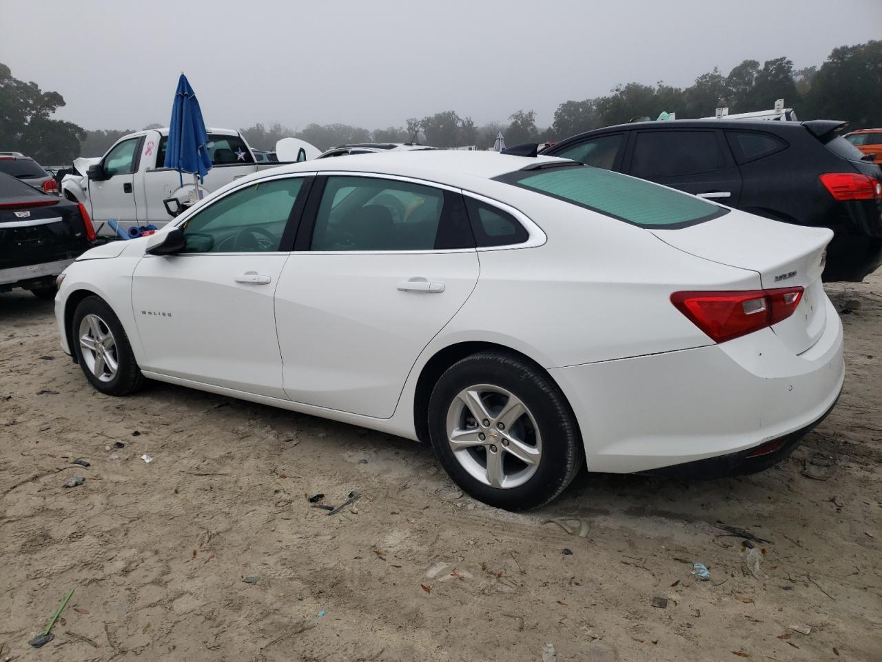 1G1ZC5ST3RF195260 2024 CHEVROLET MALIBU - Image 2