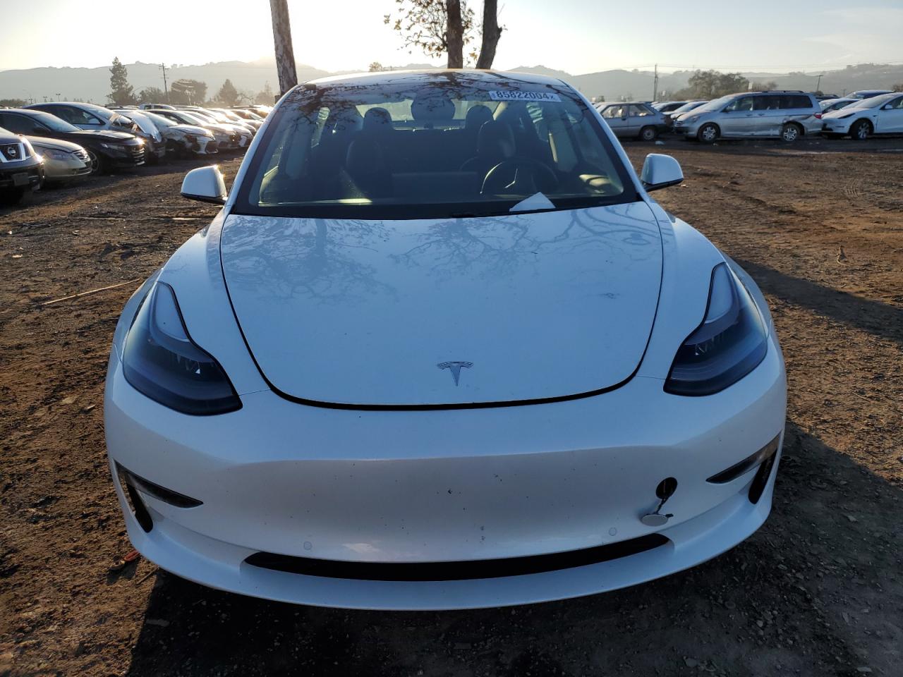 2021 Tesla Model 3 VIN: 5YJ3E1EBXMF010041 Lot: 85822004