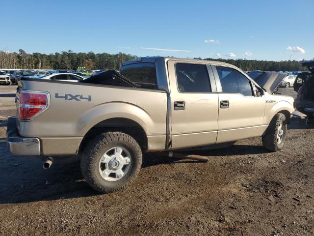 Pickups FORD F-150 2014 Złoty