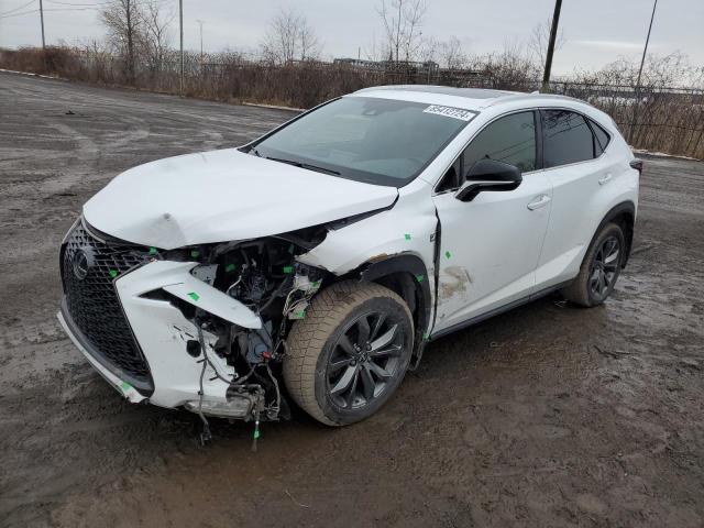  LEXUS NX 2021 Белы