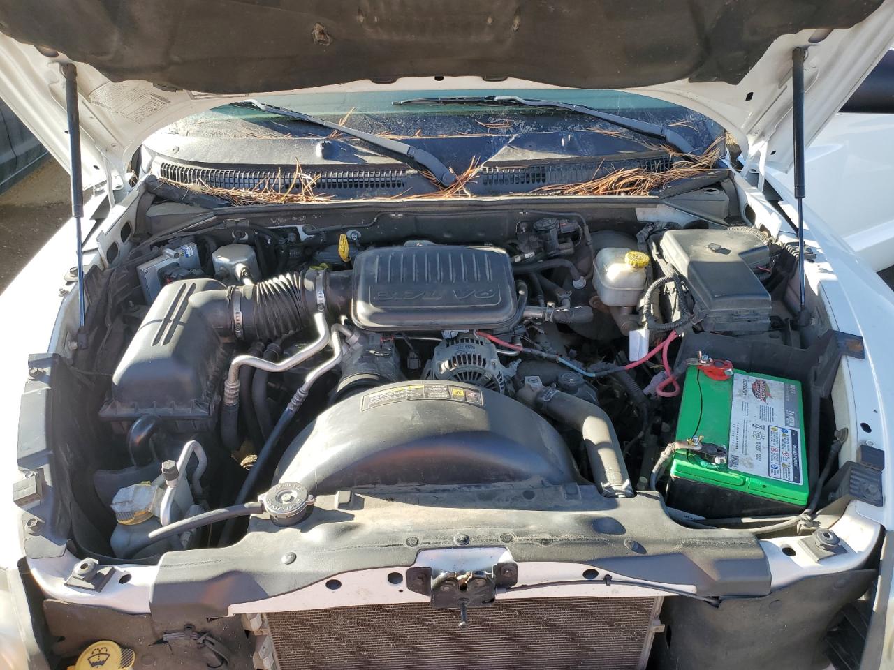 2006 Dodge Dakota - Image 11