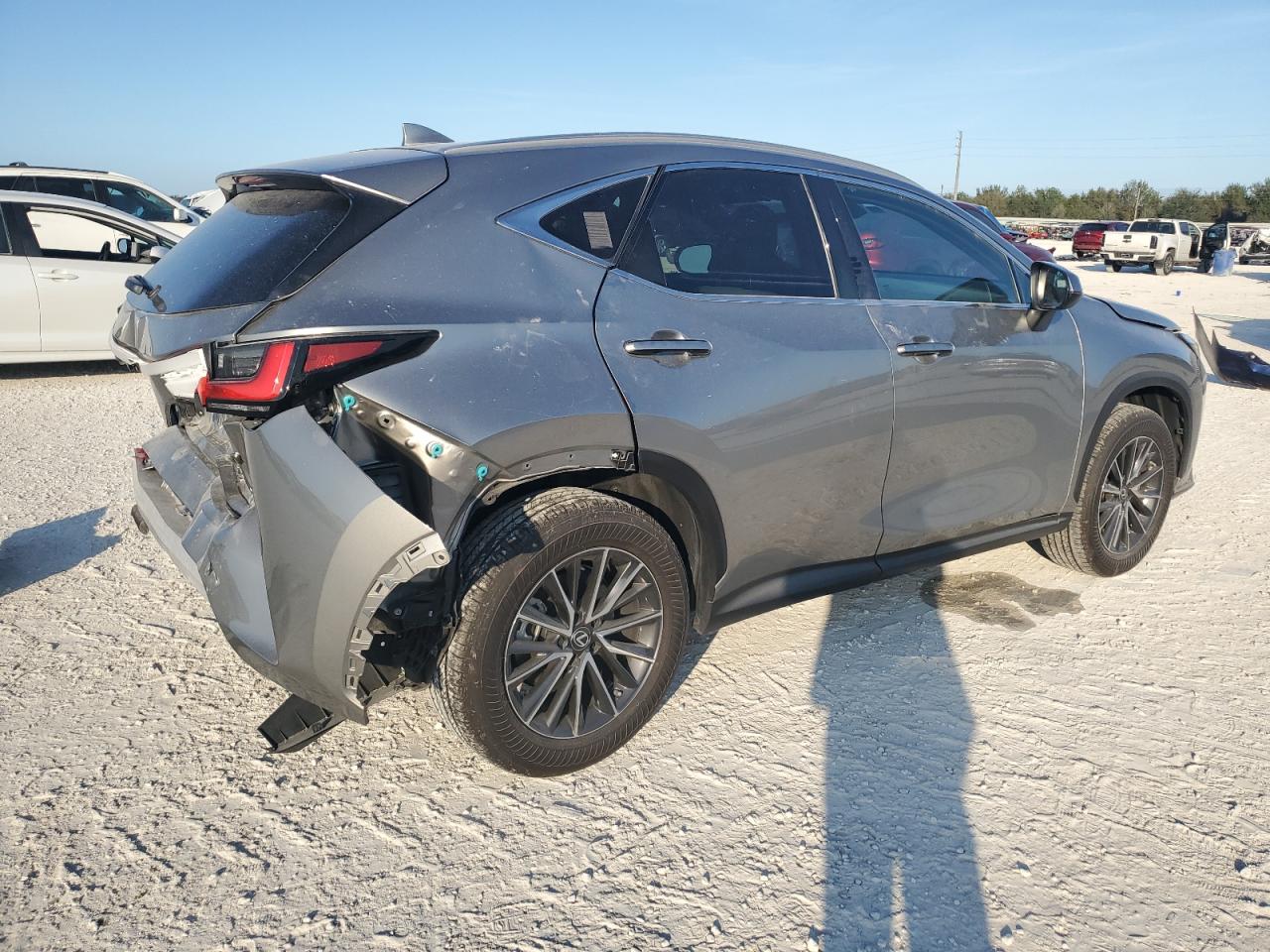 2023 Lexus NX - Image 3