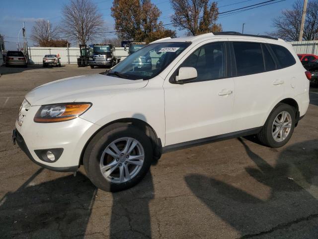 2010 Hyundai Santa Fe Se