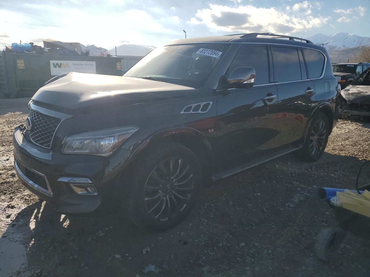 VIN JN8AZ2NE8H9153814 2017 INFINITI QX80 no.1