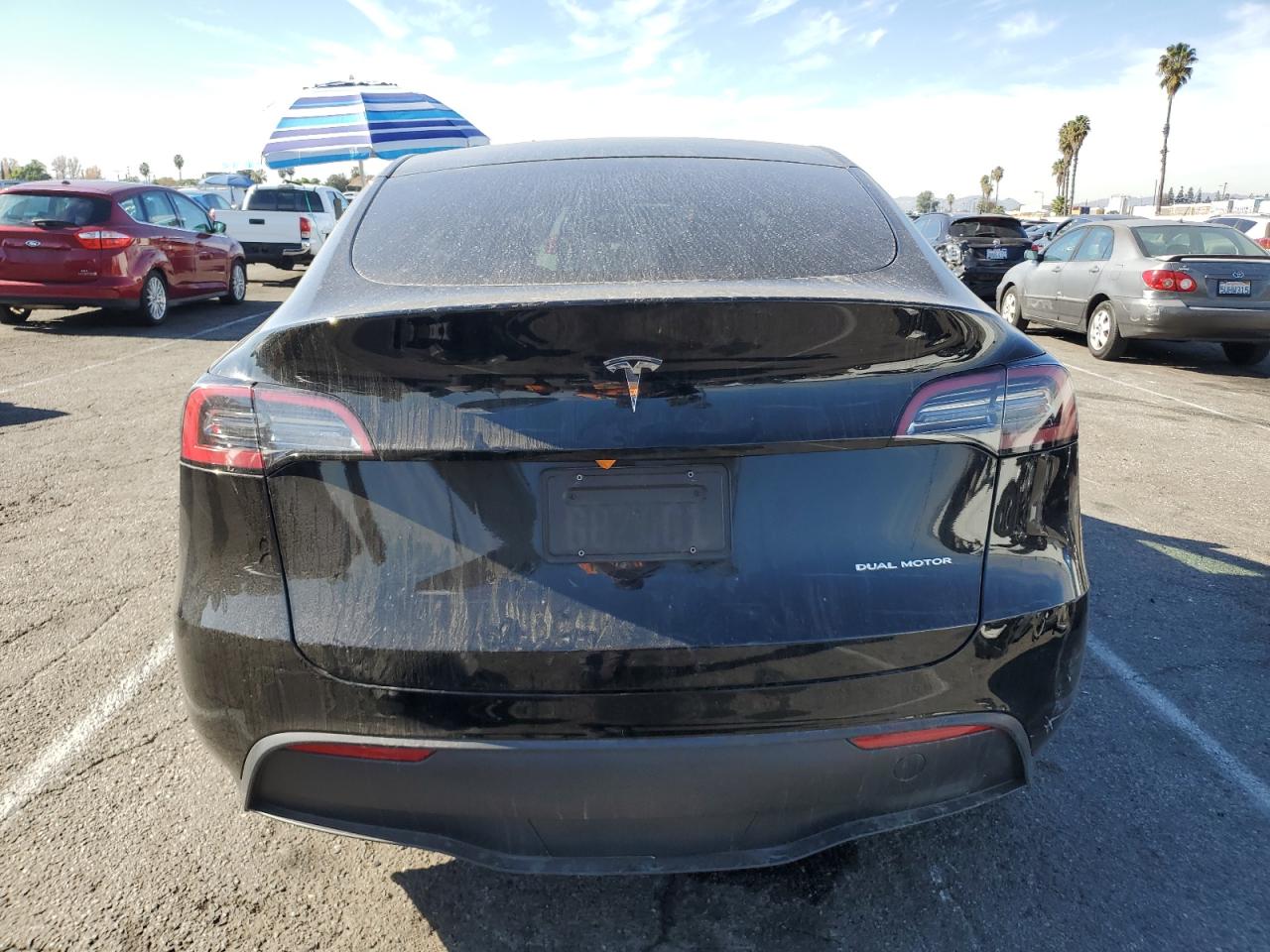 2023 Tesla Model Y VIN: 7SAYGDEEXPA060227 Lot: 82843544