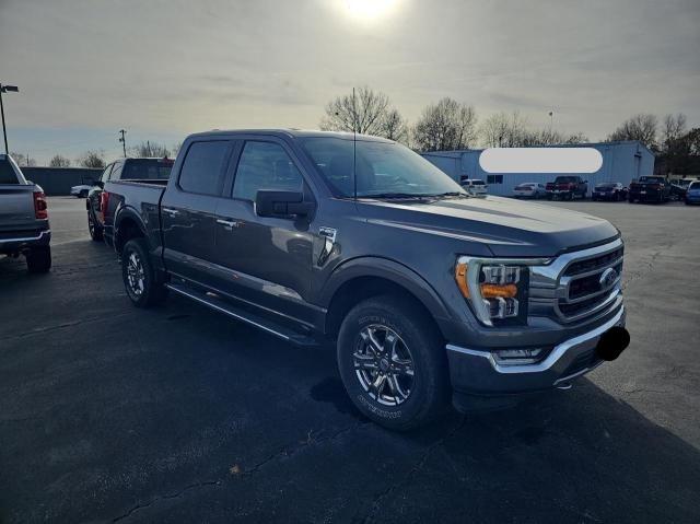  FORD F-150 2021 Gray