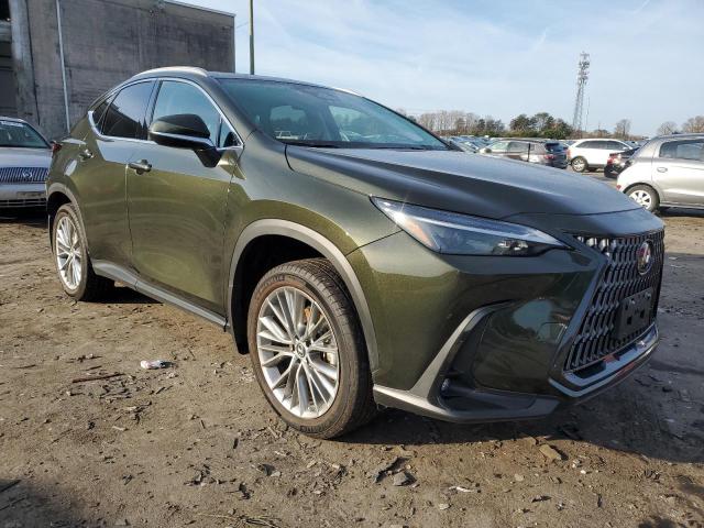  LEXUS NX 350H 2023 Зеленый