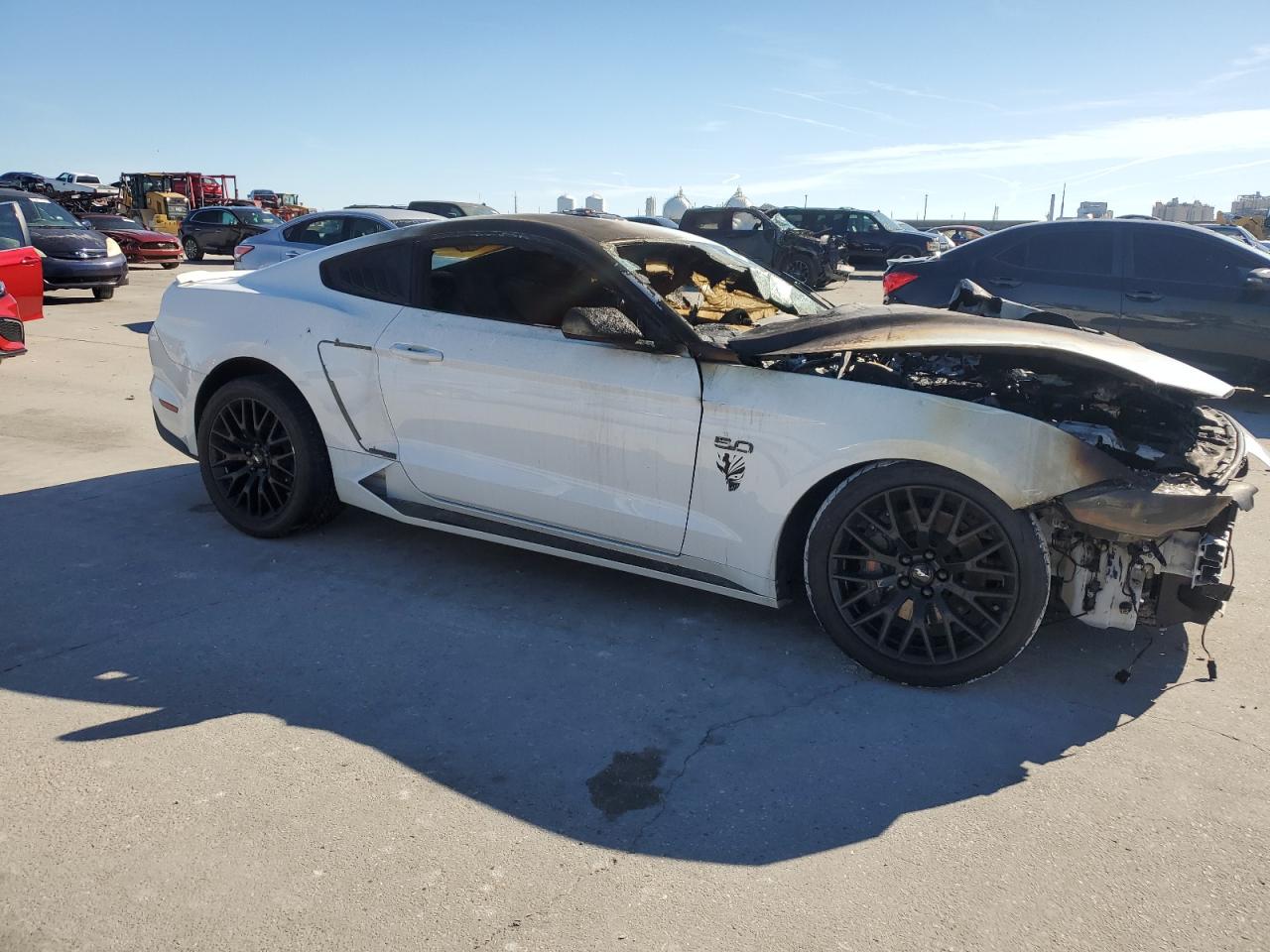 VIN 1FA6P8CF3K5199920 2019 FORD MUSTANG no.4