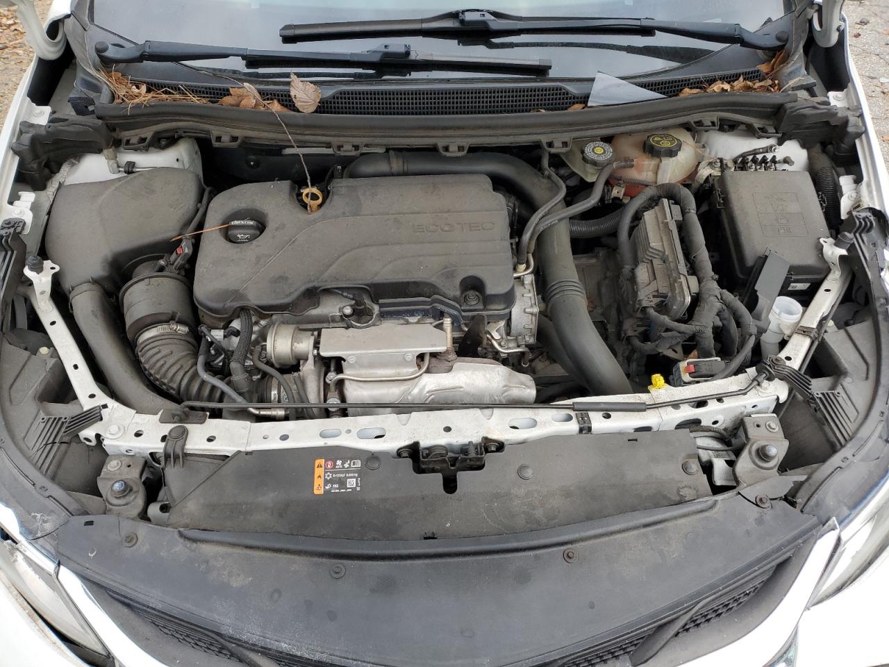 2019 Chevrolet Cruze VIN: 1G1BJ5SM4K7102343 Lot: 85624874