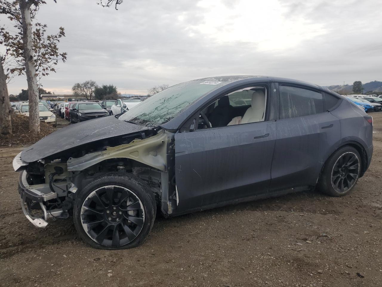 7SAYGDEE7PF747104 2023 TESLA MODEL Y - Image 1