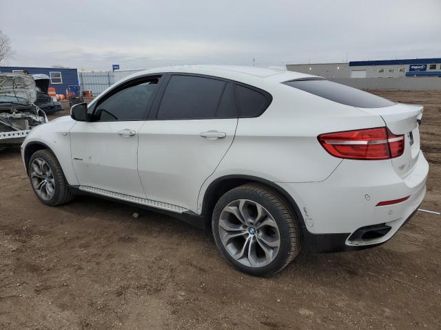 Parquets BMW X6 2013 Biały