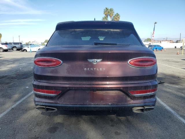 BENTLEY ALL MODELS 2021 Maroon