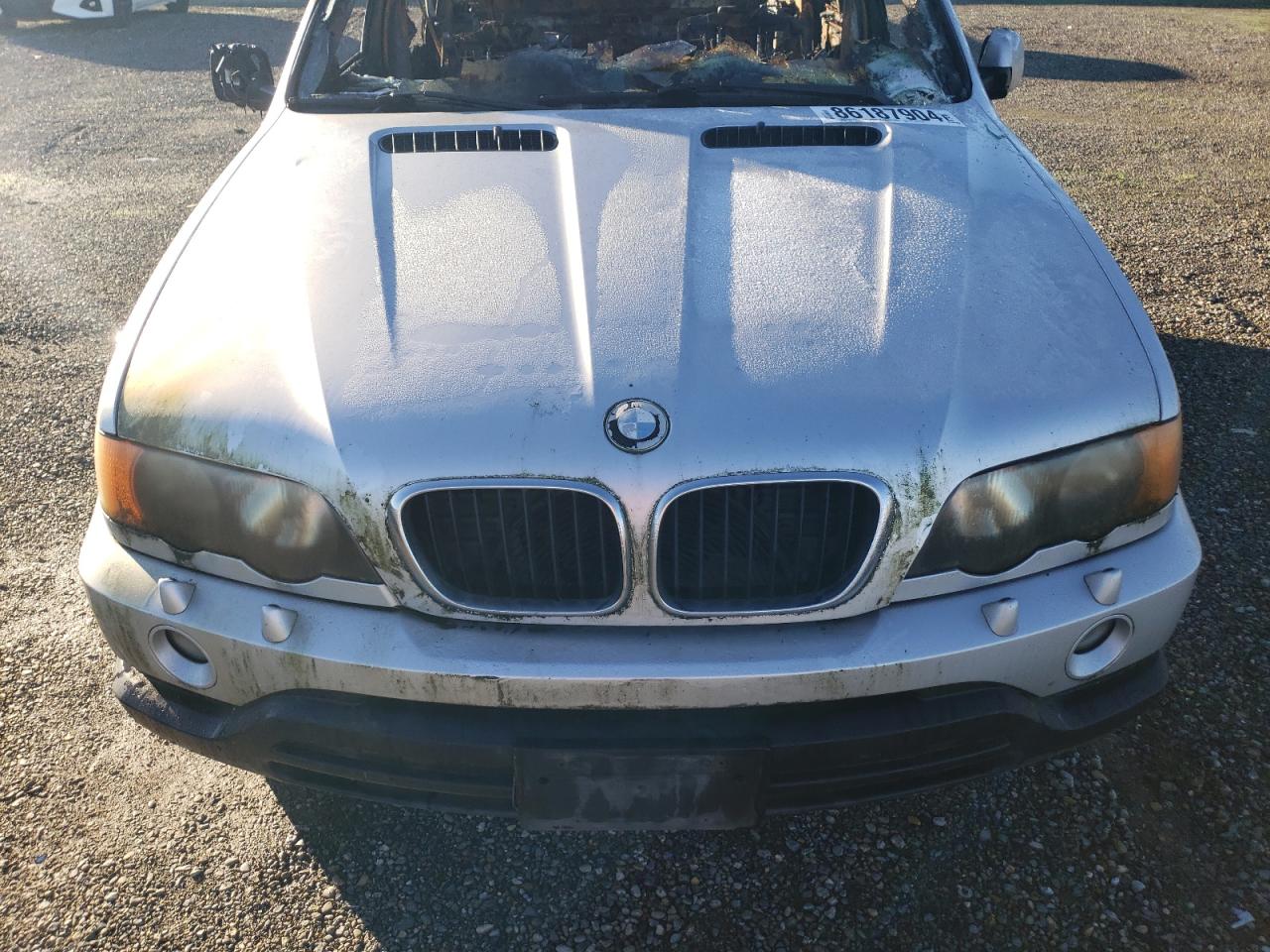 2001 BMW X5 3.0I VIN: WBAFA53521LM81894 Lot: 86187904