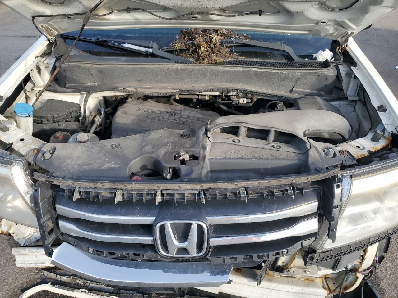 VIN 5FNYF4H90EB045332 2014 HONDA PILOT no.12