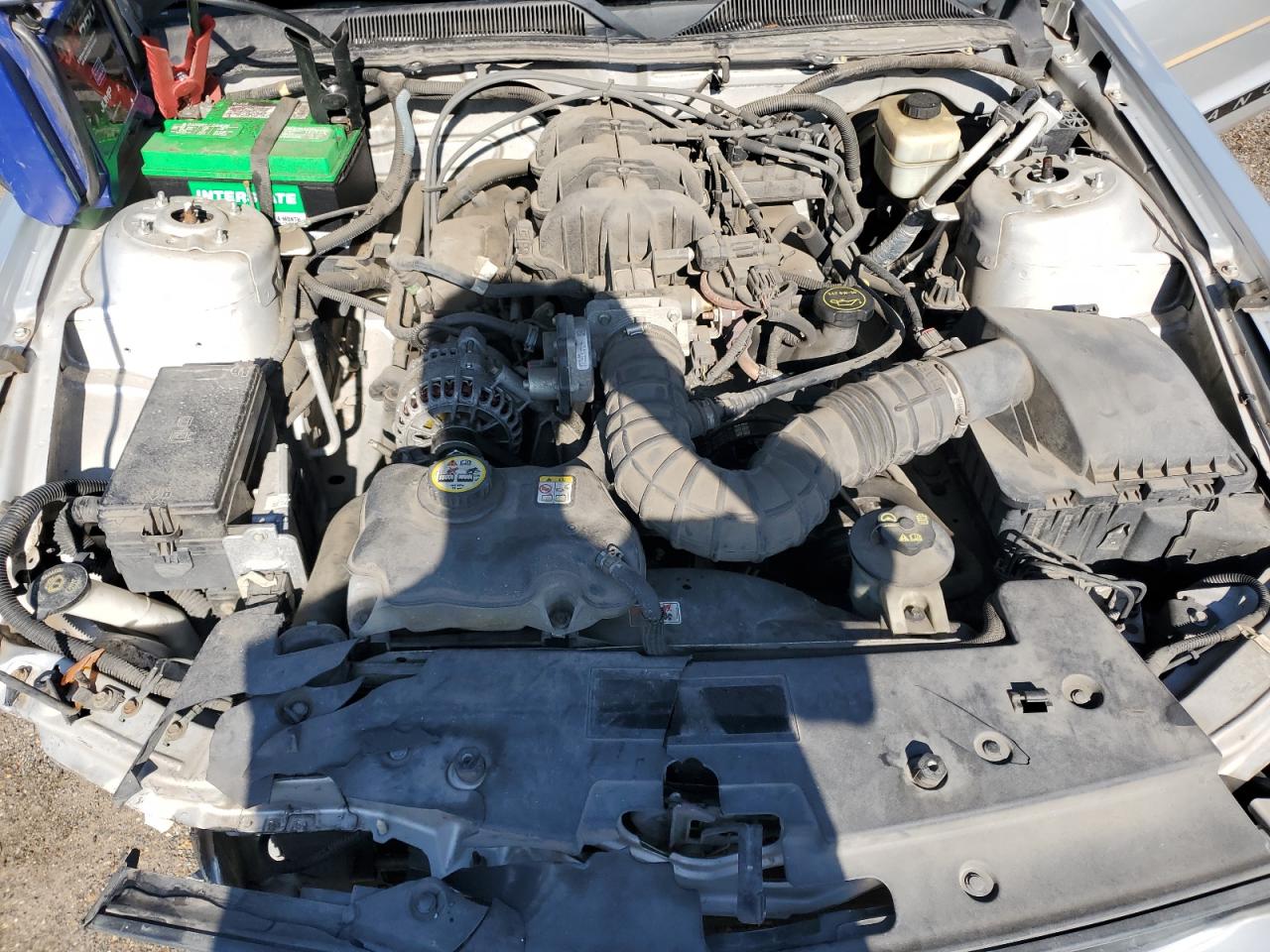 2008 Ford Mustang VIN: 1ZVHT80NX85193824 Lot: 86614844