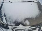 2013 SUZUKI SX4  for sale at Copart NS - HALIFAX