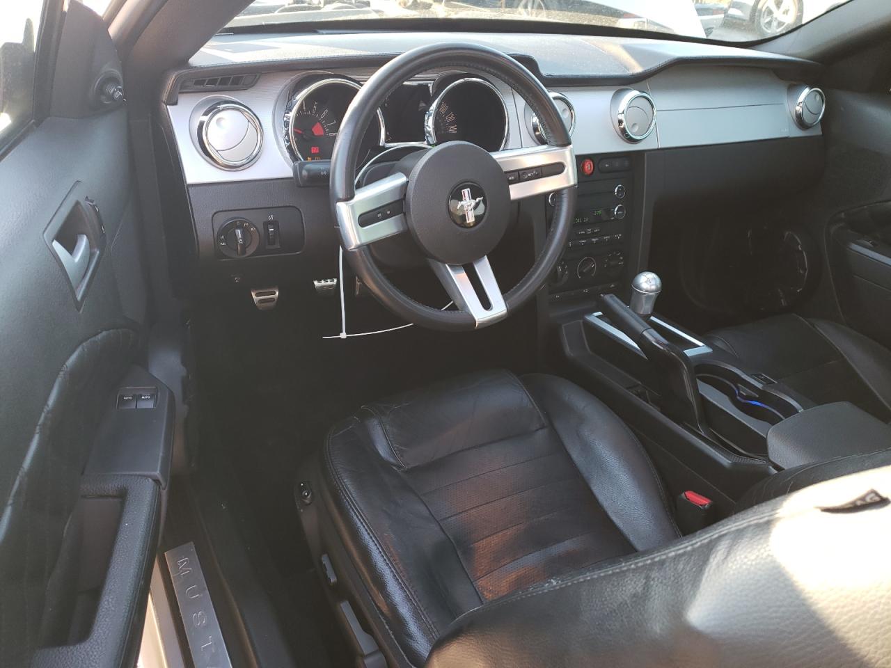 2009 Ford Mustang Gt VIN: 1ZVHT82H495123809 Lot: 85420694