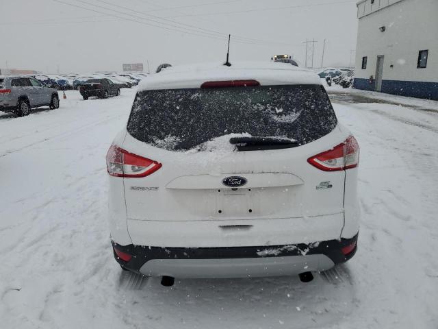 Паркетники FORD ESCAPE 2014 Белы