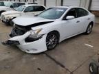 2009 Nissan Maxima S продається в Louisville, KY - Front End