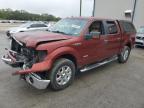 2014 Ford F150 Supercrew zu verkaufen in Apopka, FL - Front End