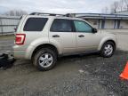 2011 Ford Escape Xlt იყიდება Arlington-ში, WA - Front End