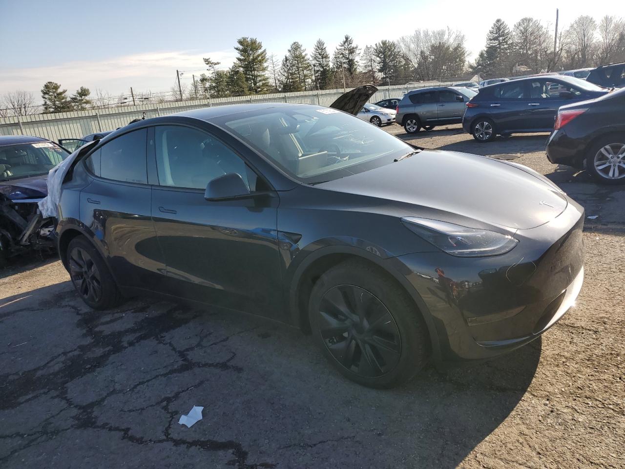 2024 Tesla Model Y VIN: 7SAYGDED0RF121274 Lot: 85109544