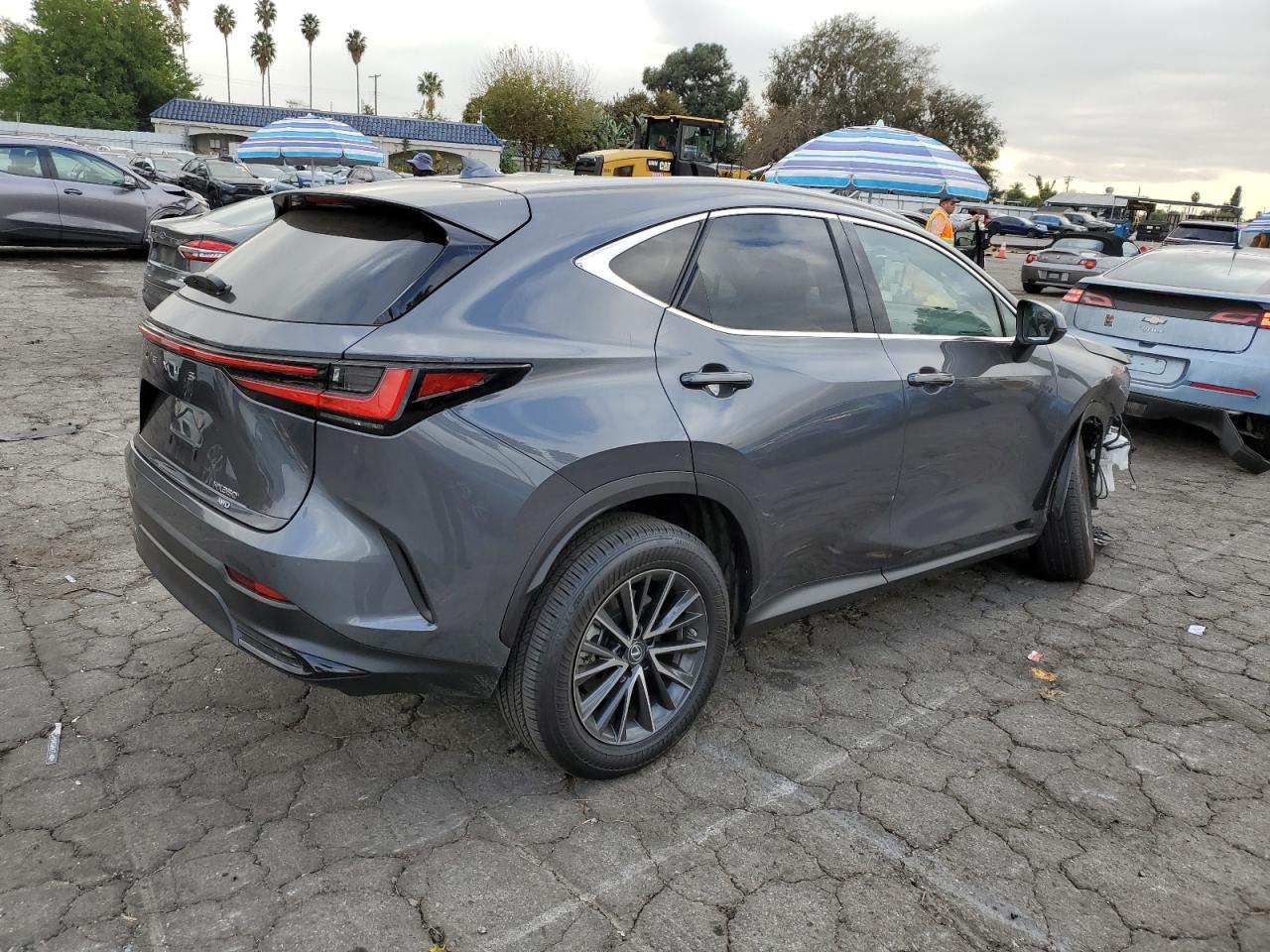 2023 Lexus NX - Image 3