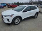 2023 Ford Escape Active en Venta en Memphis, TN - Rear End
