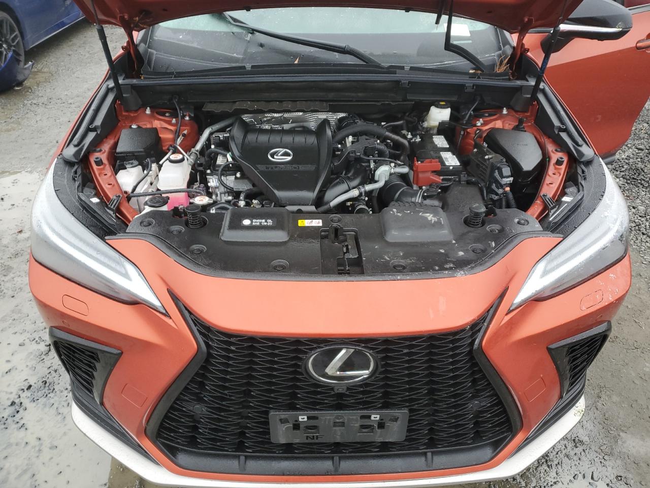 2023 Lexus NX - Image 12