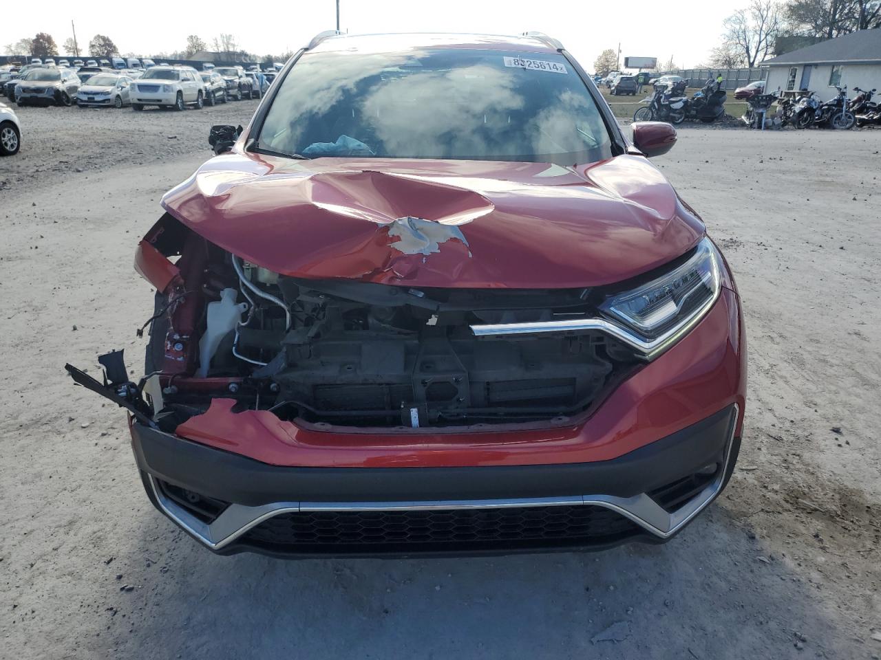 2020 Honda CR-V - Image 5