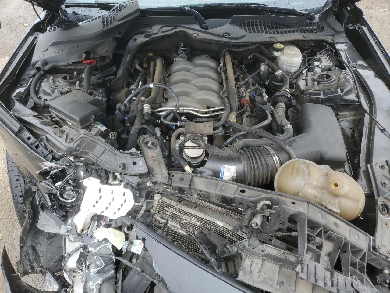 2019 Ford Mustang - Image 11