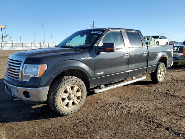  FORD F-150 2012 Black