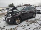 2014 Kia Sorento Ex იყიდება New Britain-ში, CT - Front End