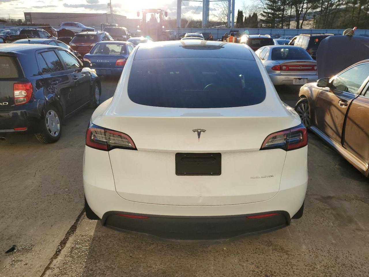 2023 Tesla Model Y VIN: 7SAYGDEE6PA101081 Lot: 83075424