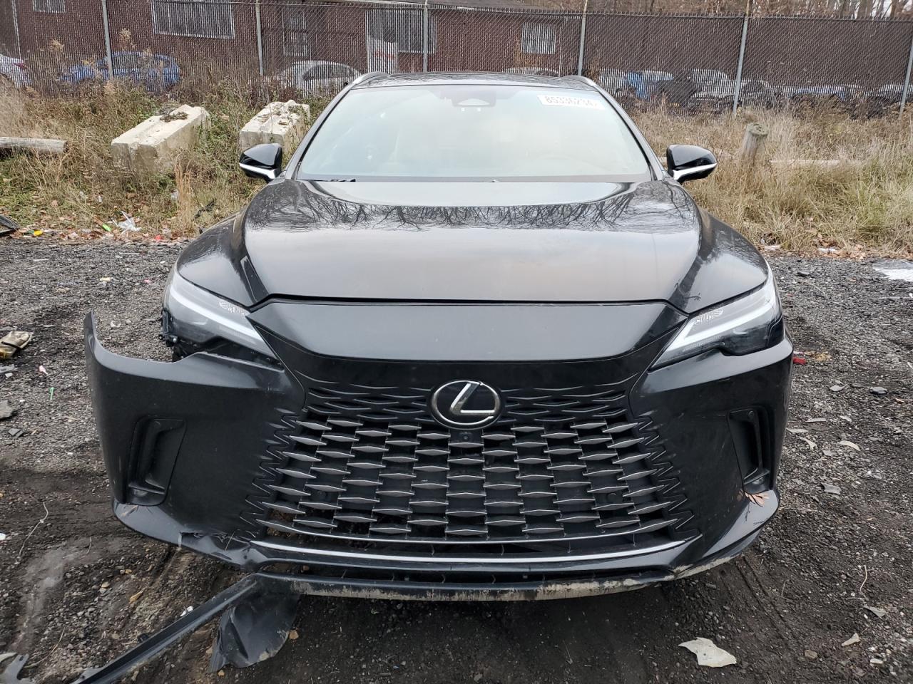 2024 Lexus RX - Image 5