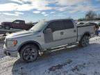 2009 Ford F150 Supercrew продається в London, ON - Front End