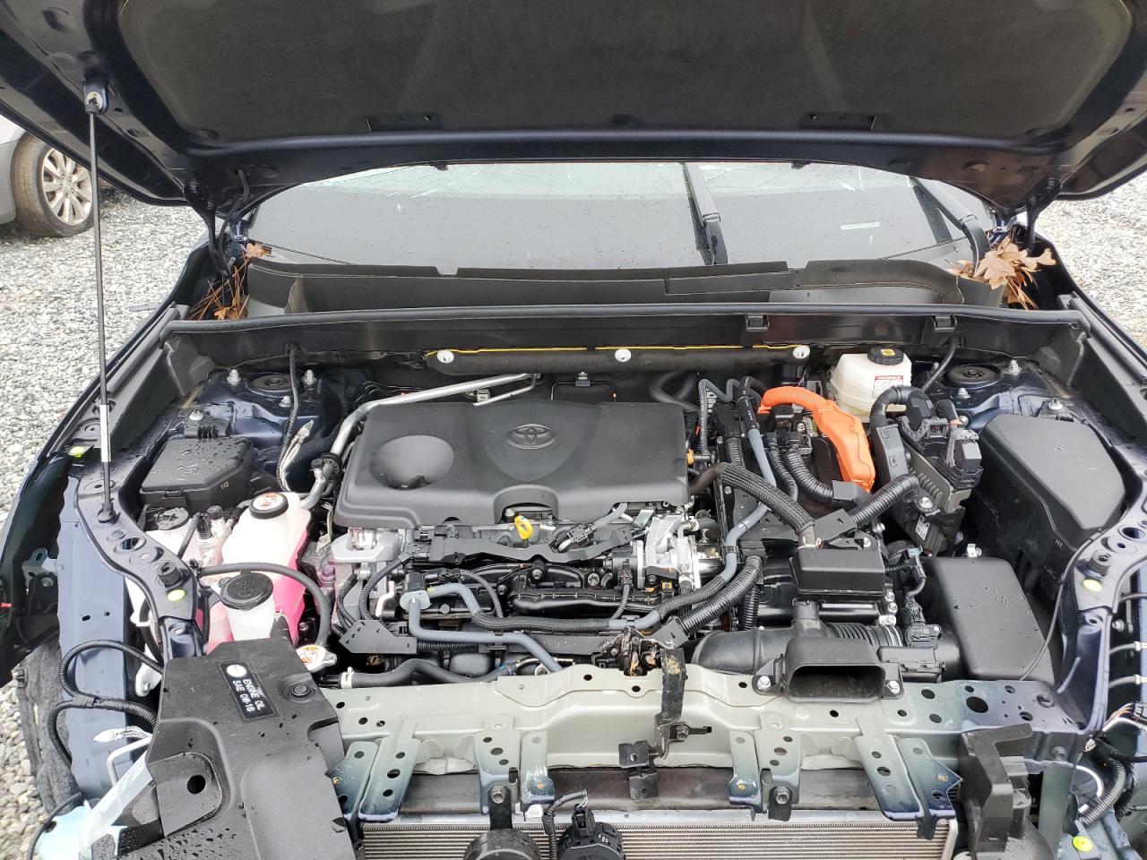 2021 Toyota Venza - Image 12