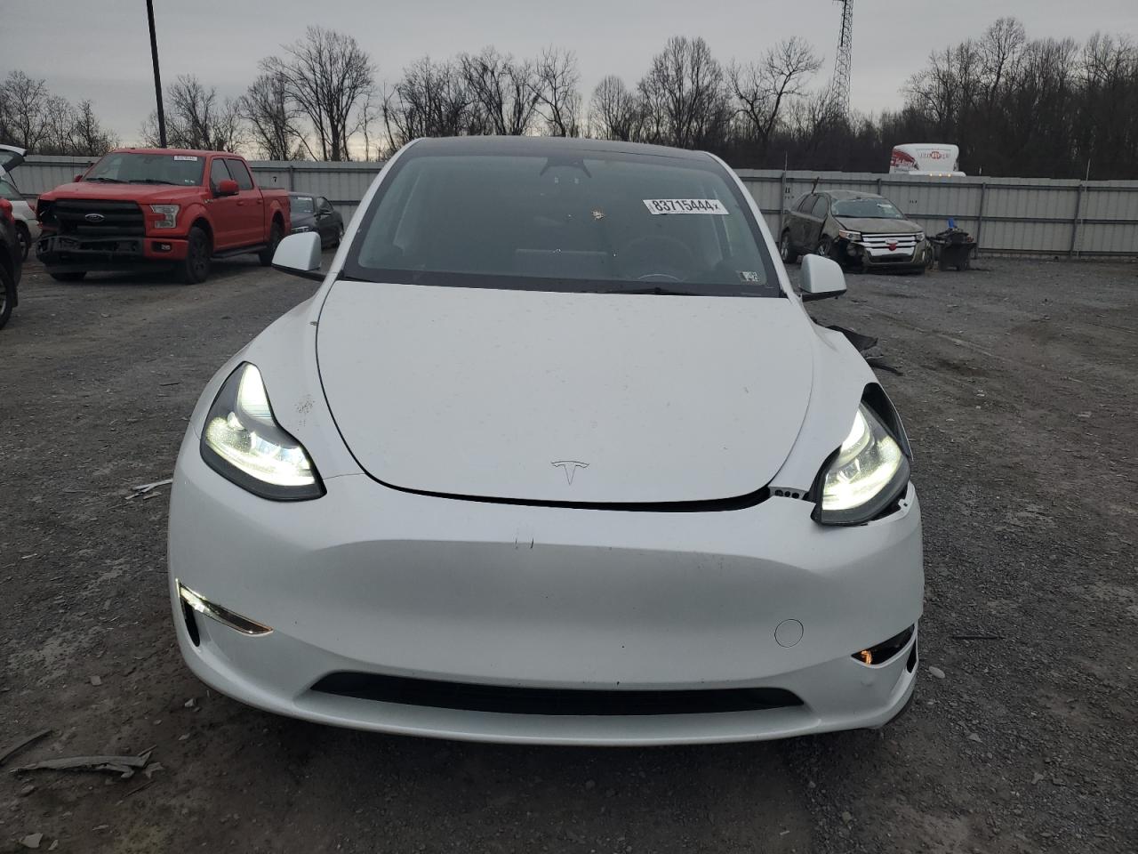 VIN 7SAYGDEE7PF673621 2023 TESLA MODEL Y no.5