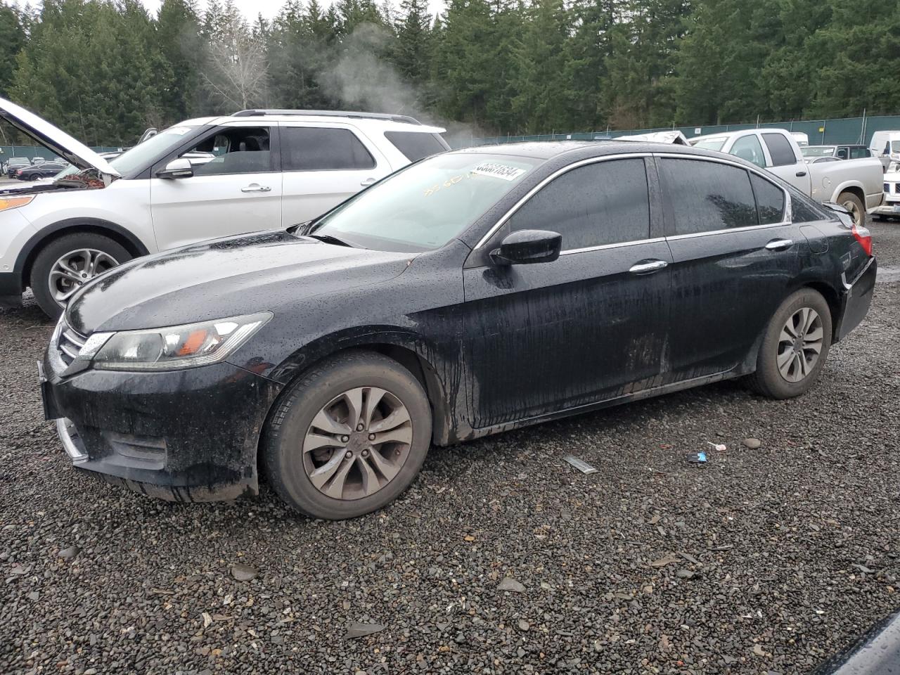 VIN 1HGCR2F36EA000667 2014 HONDA ACCORD no.1