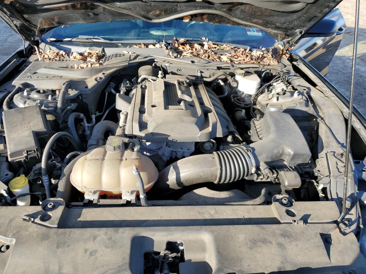 2015 Ford Mustang VIN: 1FA6P8TH5F5365510 Lot: 86544544