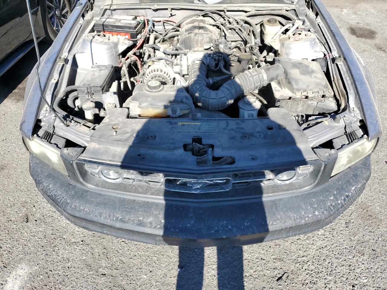 2006 Ford Mustang VIN: 1ZVFT80N965239003 Lot: 83795604