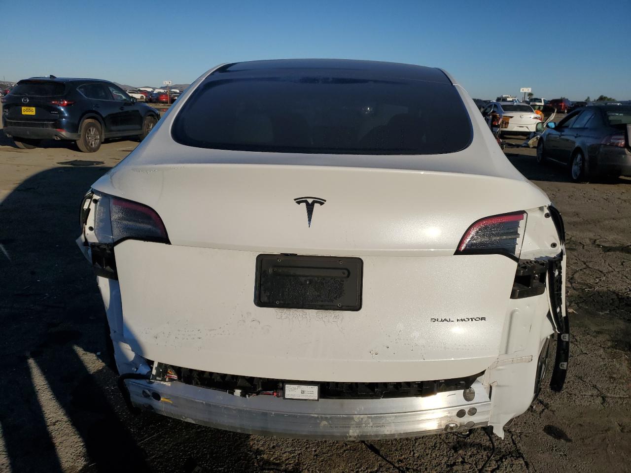 2022 Tesla Model Y VIN: 7SAYGDEE1NF488459 Lot: 83710224