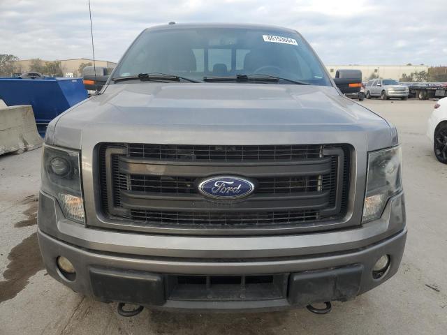 Pickups FORD F-150 2014 Szary