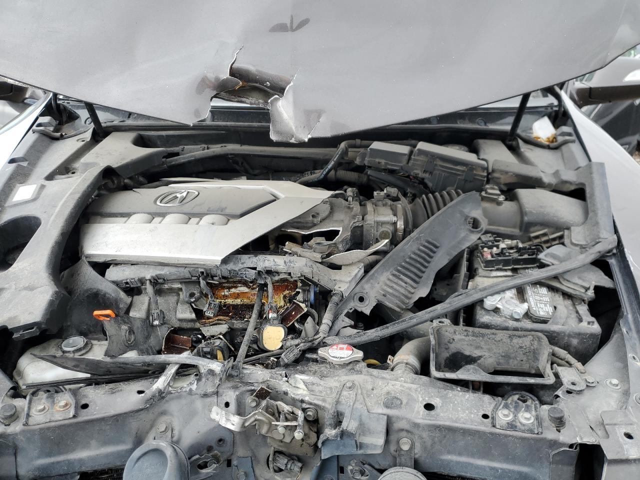 2009 Acura Rl VIN: JH4KB26609C002111 Lot: 84668184