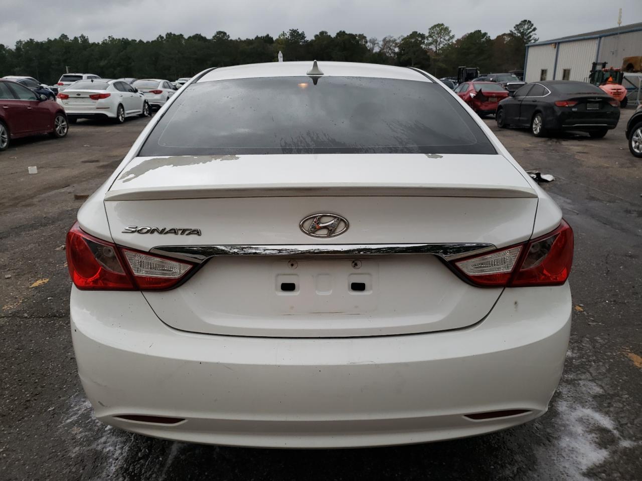 VIN 5NPEB4AC0DH555359 2013 HYUNDAI SONATA no.6