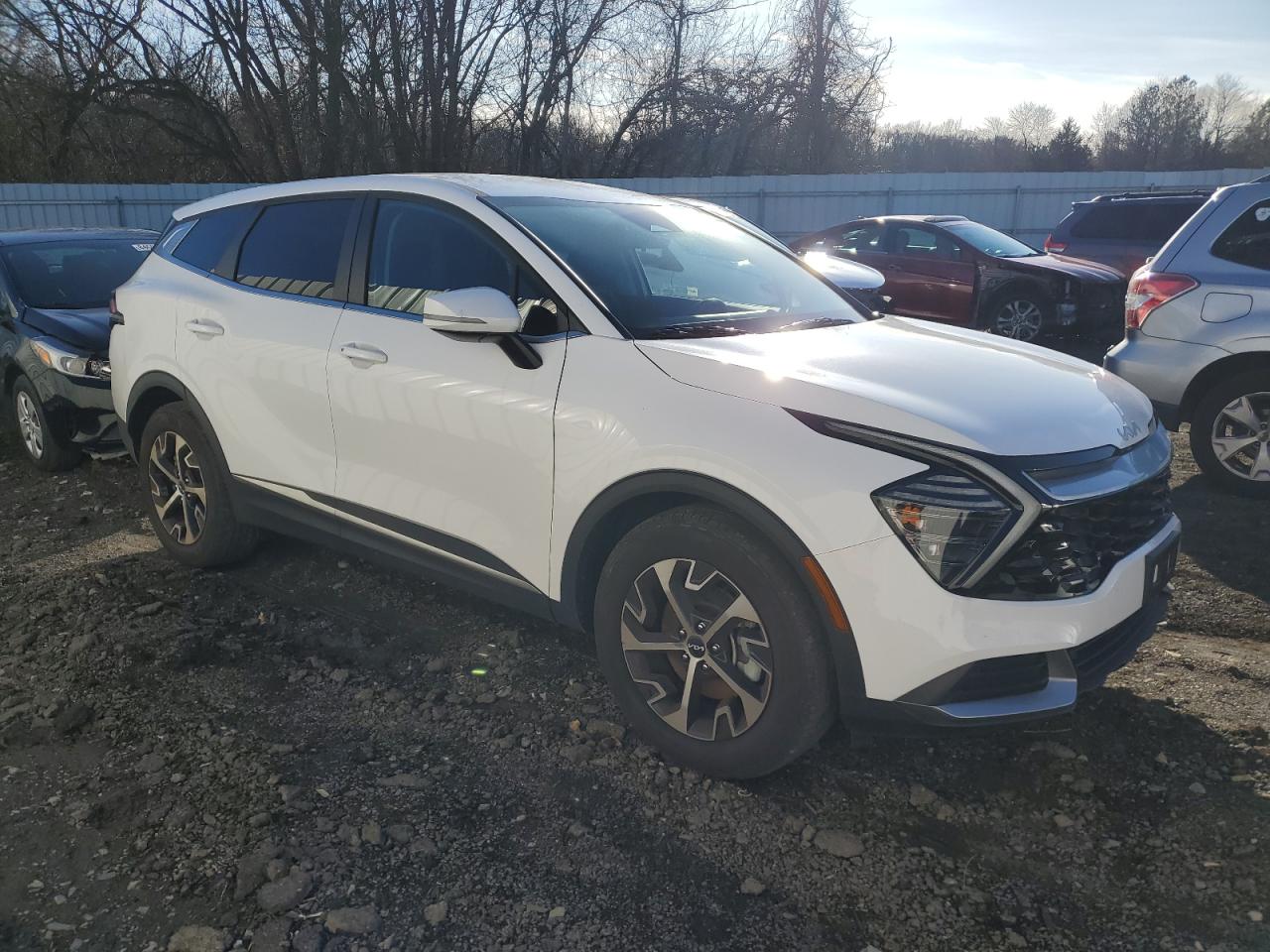2024 Kia Sportage - Image 4
